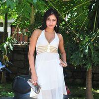 Haripriya New Photo Shoot - Pictures | Picture 115644